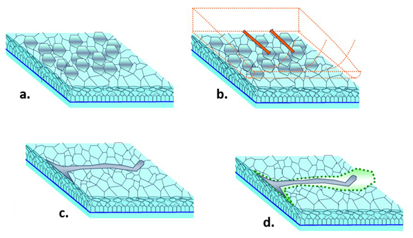 这种,角膜炎,很可能,与你,不以为然,的,近,